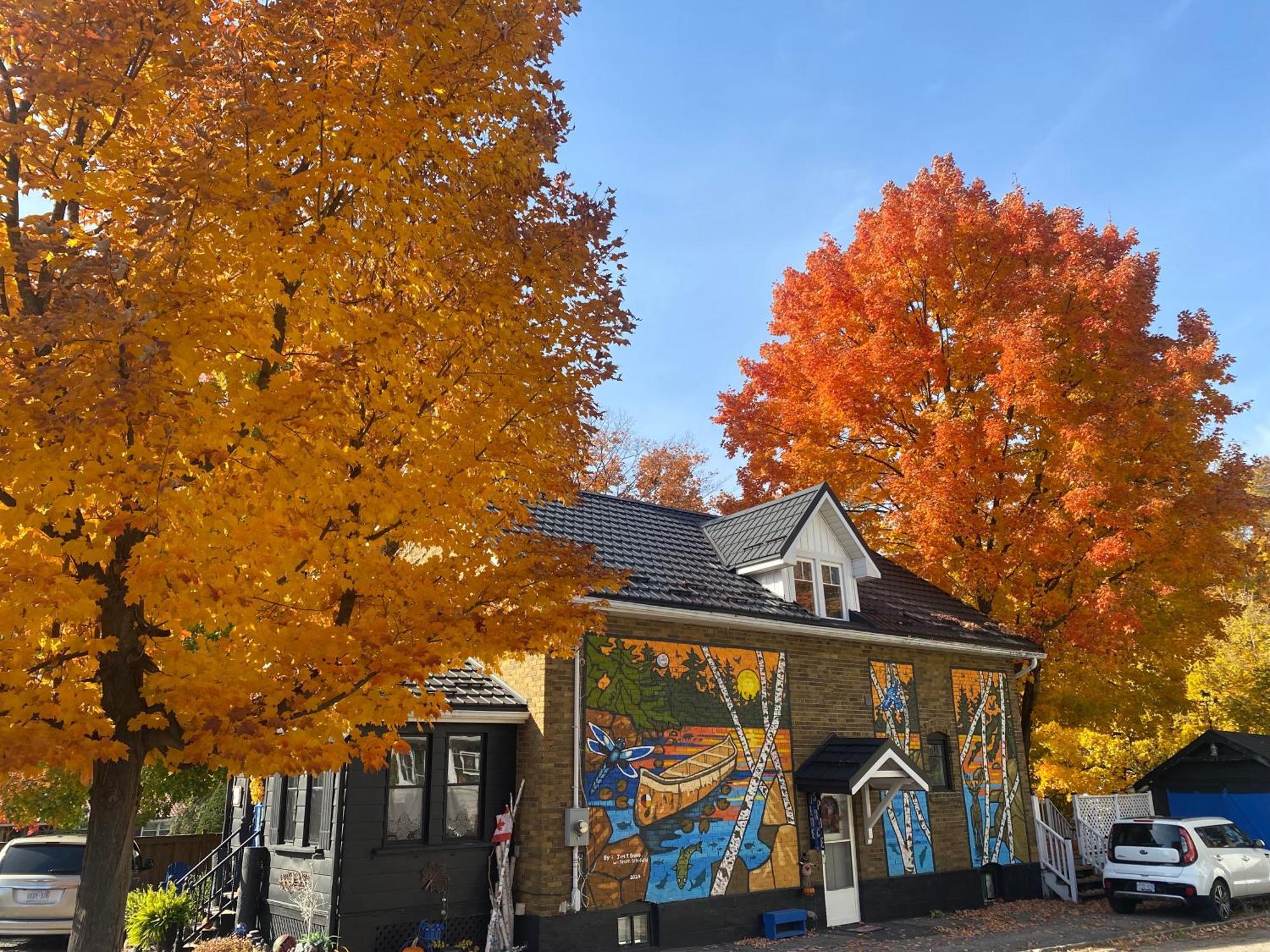 Blue Spruce Bed And Breakfast Muskoka Грейвънхърст Екстериор снимка